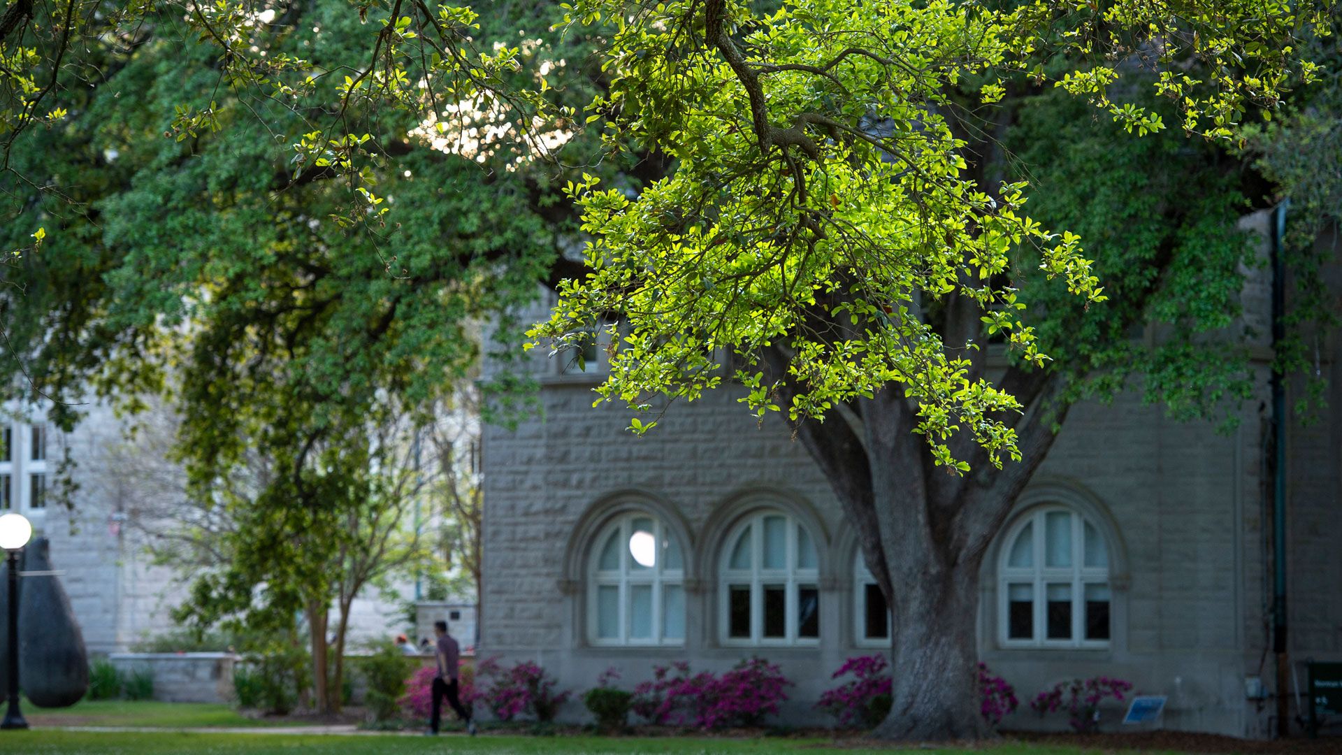 Gibson Quad